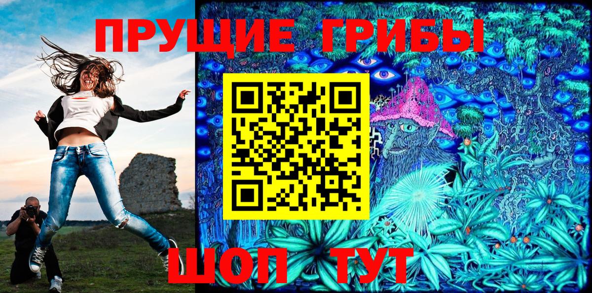 Псилоцибиновые грибы Psilocybe Сосновоборск