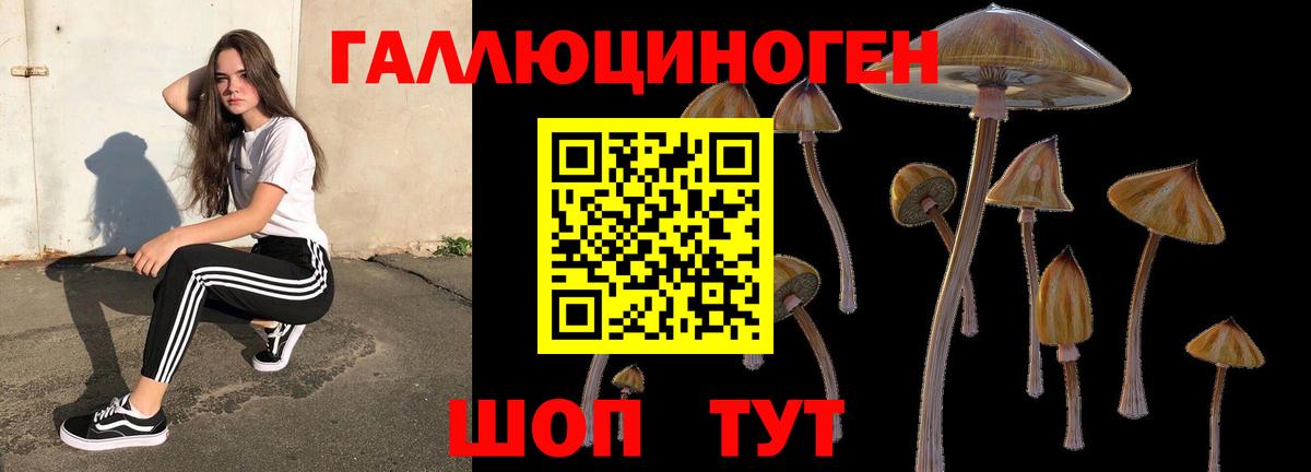 Псилоцибиновые грибы GOLDEN TEACHER  Галлюциногенные грибы Psilocybine cubensis  Сосновоборск  Вход с VPN 